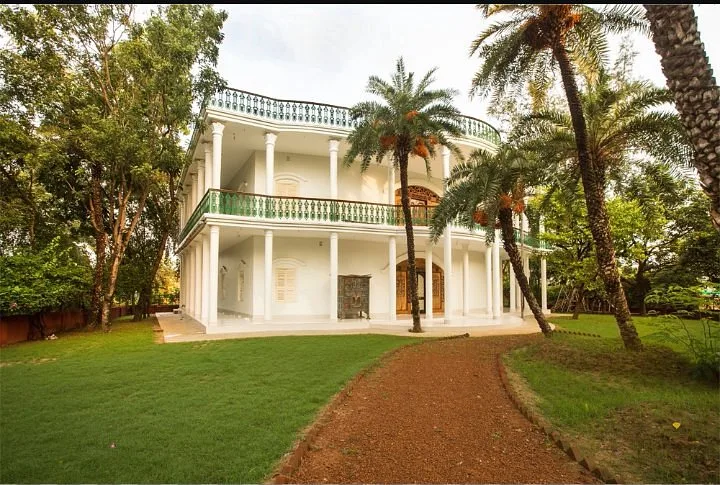 Camellia Heritage View