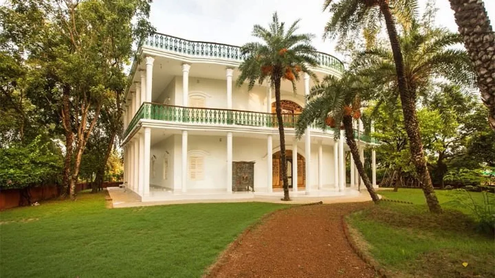 Camellia Heritage